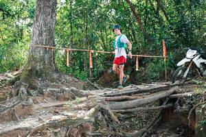 BIB: 
                            <button type="button" onclick="openModal(27804417)" class="btn btn-primary btn-sm float-right btn-popup" data-toggle="modal" data-target=".modal-high-quality">
                        <i class="fas fa-shopping-cart"></i> Add to Cart
                    </button>
                                            <button type="button" onclick="isThisMe(27804417, true)" class="btn btn-success btn-sm float-right btn-popup btn-isme hidden" data-toggle="tooltip" data-placement="bottom" title="นี่คือรูปของคุณใช่ไหม คลิกที่นี่เพื่อเอาเข้าอัลบั้ม">
                        <i class="fas fa-plus"></i> Add to album
                    </button>
                    <button type="button" onclick="isThisMe(27804417, false)" class="btn btn-warning btn-sm float-right btn-popup btn-isnotme hidden">
                        <i class="fas fa-ban"></i> Remove from album
                    </button>